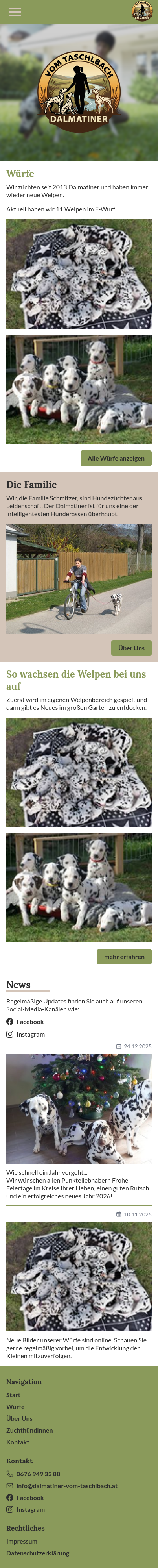 Dalmatiner vom Taschlbach Mobilansicht