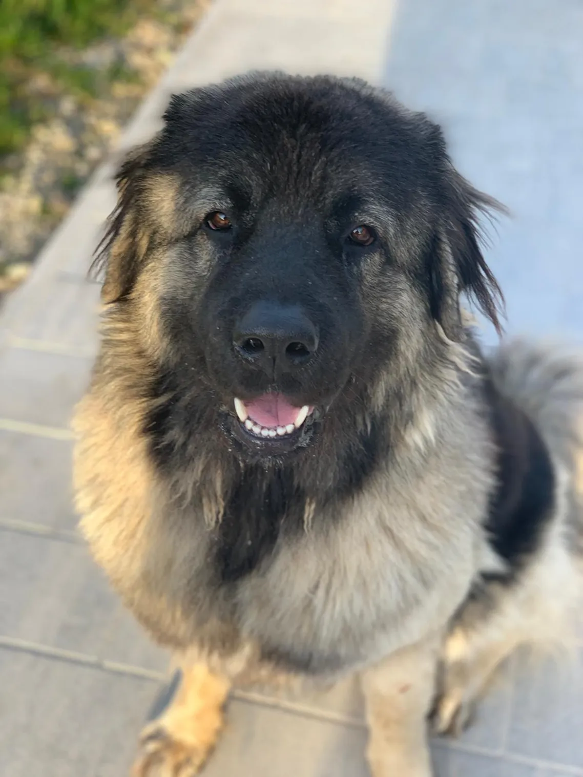 Profilbild von Mindy